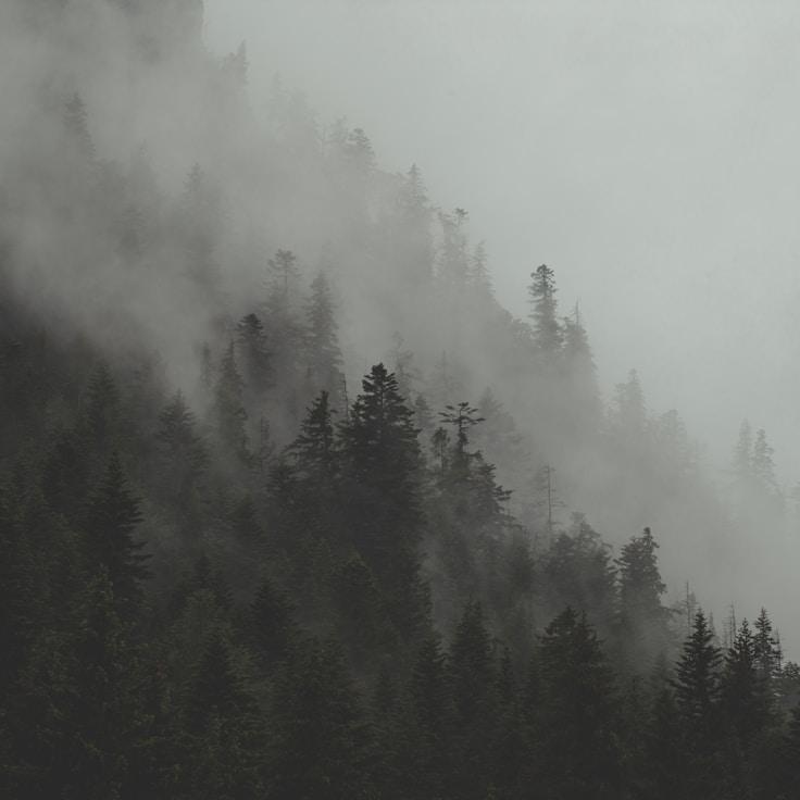 Protected areas overview