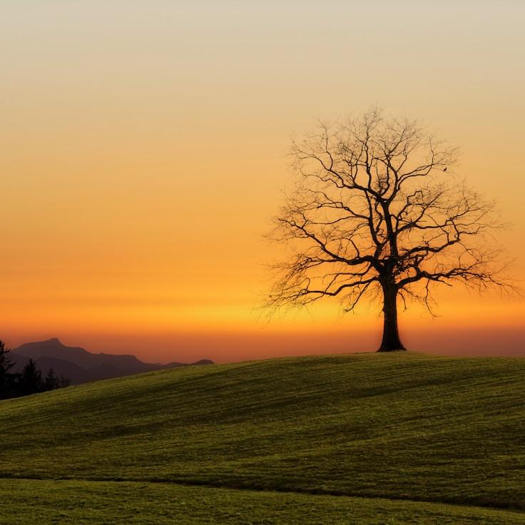 National parks landscape
